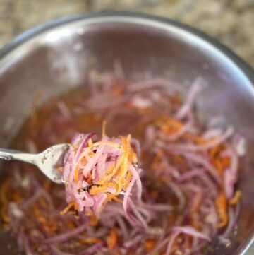 a close up of Xnipec salsa on a fork to showcase vibrant colors.