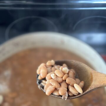 spoon full of cooked pinto beans
